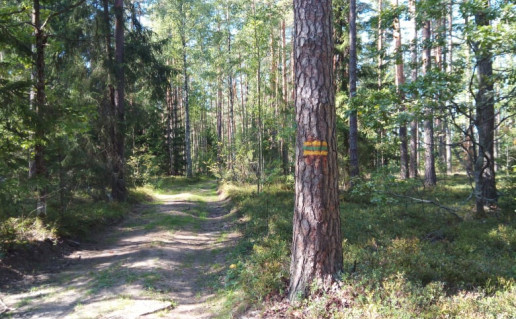 21_Alnio pažintinis takas (4).jpg